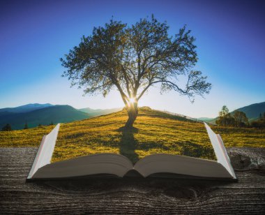 Yalnız Dağ Vadisi açık bir büyülü kitap sayfalarında günbatımında ağacında. Görkemli manzara. Seyahat ve eğitim kavramı.