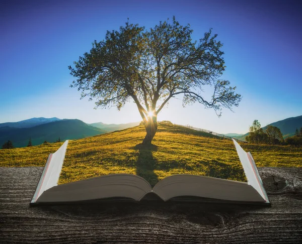 Árbol Solitario Valle Montaña Atardecer Las Páginas Libro Mágico Abierto — Foto de Stock