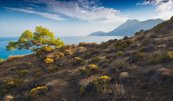 Vista Montaña Cirali Olimpos Una Luz Del Atardecer Kemer Antalya — Foto de Stock