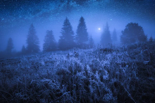 冰冻多雾的夜晚 草地上有白霜 星空中的银河 — 图库照片