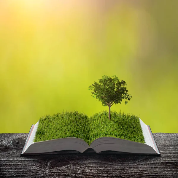 Young tree on a green grass on the pages of an open magical book. Nature spring background. Ecology and education concept.