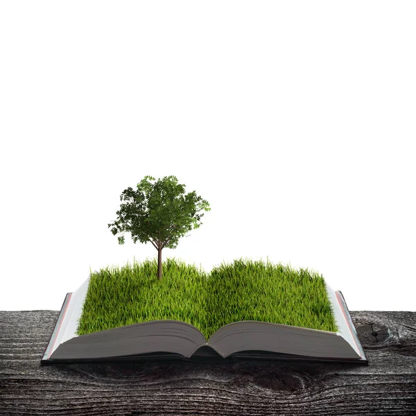 Young Tree Green Grass Pages Open Magical Book Ecology Education — Stock Photo, Image