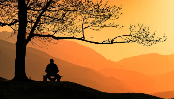 Hombre Medita Bajo Gran Árbol Las Montañas Los Cárpatos Atardecer —  Fotos de Stock