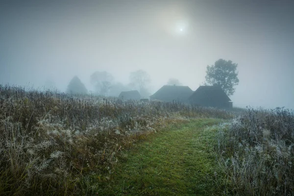 Way Misty Valley Ukrainian Alpine Village — Stock Photo, Image