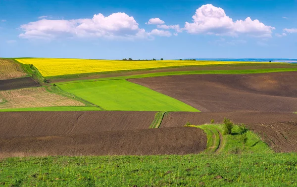 Campi Arati Che Preparano Alla Semina Tempo Primaverile — Foto Stock