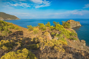 Akdeniz'in vahşi doğa