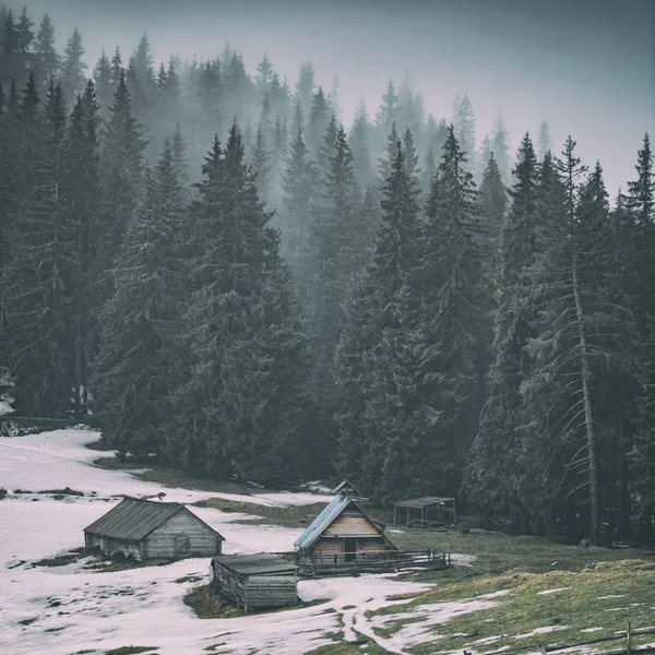 Vecchio villaggio alpino in una foresta nebbiosa — Foto Stock