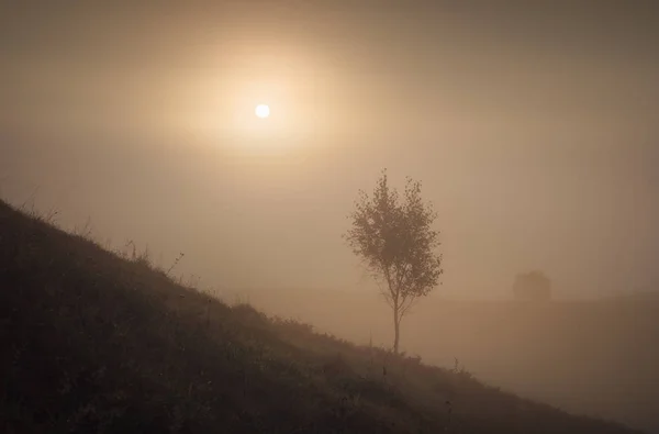 Sunrise in a deep fog — Stock Photo, Image