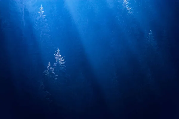 Ομιχλώδες δάσος σε ένα βαθύ μπλε νερό — Φωτογραφία Αρχείου