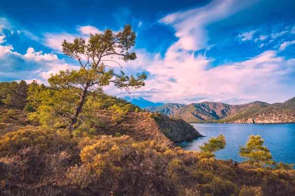 Nature of mediterranean sea coast — Stock Photo, Image