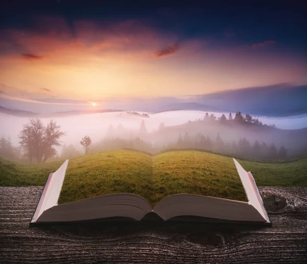 Escena de primavera en las páginas del libro — Foto de Stock