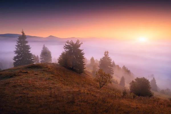 Majestuoso valle alpino — Foto de Stock