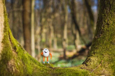 Bir bahar ormanında Paskalya yumurtası yürüyüşçü