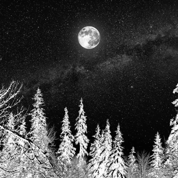 Pleine lune dans un ciel étoilé sur la forêt — Photo