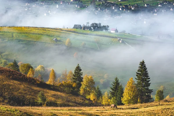 Hermosa vista del pueblo de los Cárpatos alpinos — Foto de Stock