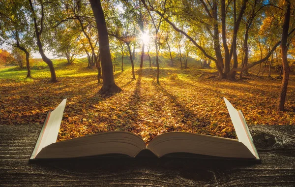 Floresta de outono nas páginas do livro — Fotografia de Stock
