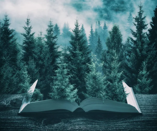 Misty carpathian abeto floresta nas páginas do livro, vintage — Fotografia de Stock