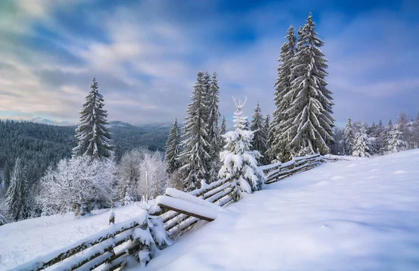 Alpental mit Raureif bedeckt — Stockfoto