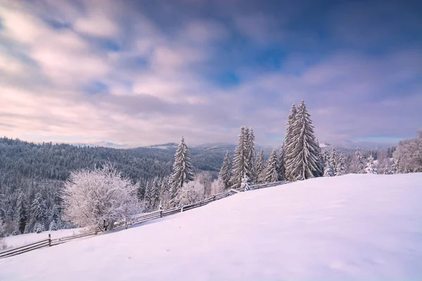 Matin glacé dans la vallée alpine — Photo