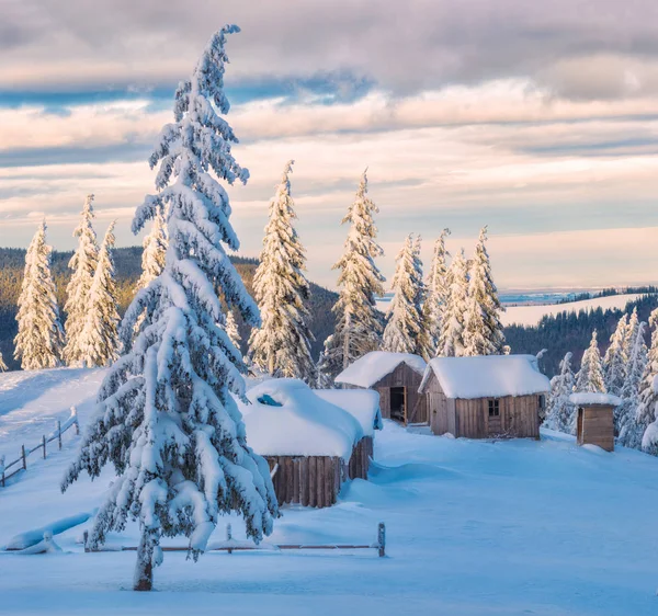 Alpendorf in den Karpaten mit Neuschnee bedeckt — Stockfoto