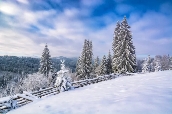 Majestätischer Karpatenwinter — Stockfoto