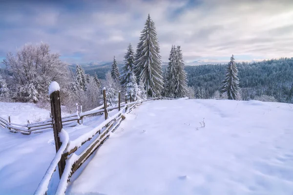 Schneereicher Winter in den ukrainischen Karpaten — Stockfoto