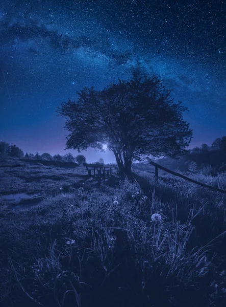 Majestueuse nuit dans une vallée printanière — Photo