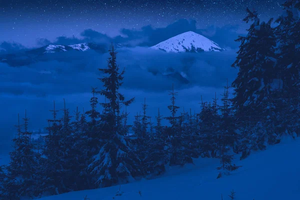 Winter forest on a hill with distant mountains at night — Stock Photo, Image