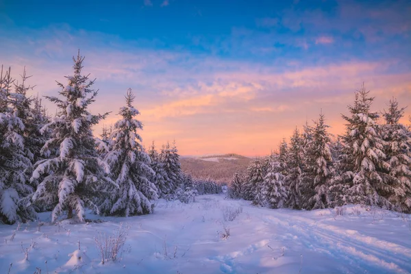 Mañana congelada en un valle montañoso alpino —  Fotos de Stock