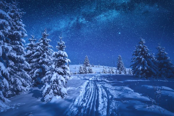 Neve mágica coberto floresta de inverno à noite — Fotografia de Stock