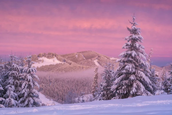 Vallée alpine gelée avec nuages roses dans un ciel — Photo