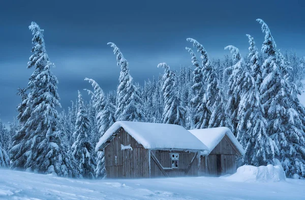 Holzhäuser in einem Wald mit Neuschnee bedeckt — Stockfoto