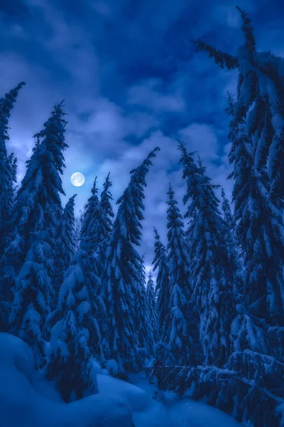 Luna llena en un cielo sobre el bosque de abetos — Foto de Stock