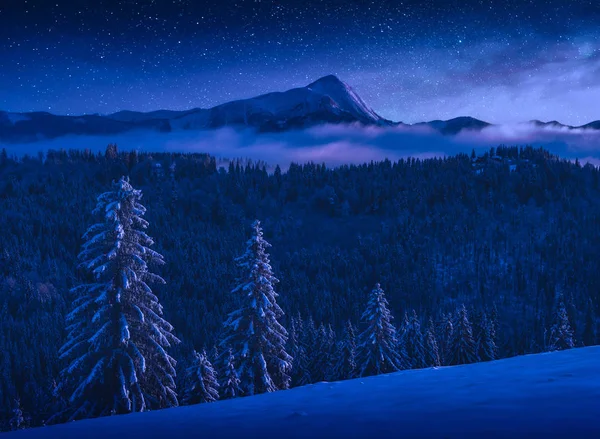 Valley täckt med hoar frost på natten — Stockfoto