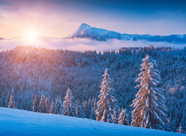 Valley covered with hoar frost