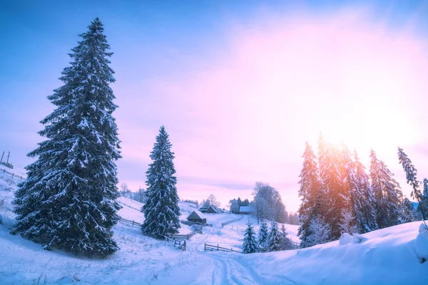 Bright winter day — Stock Photo, Image