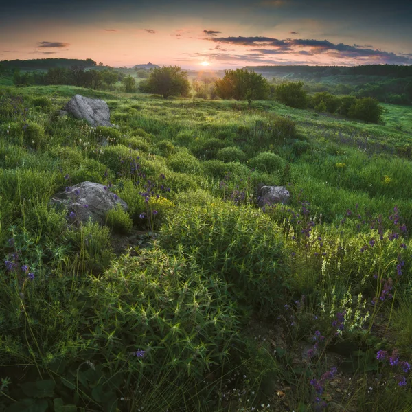 Majestic Summer Sunrise Ukrainian Steppe — Stock Photo, Image
