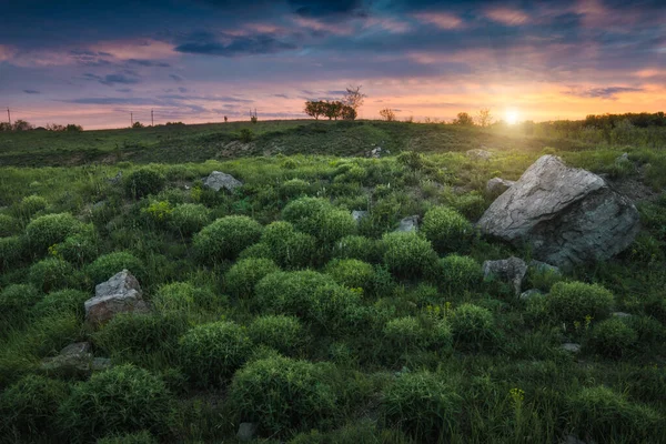 Ukrayna Bozkırında Görkemli Bir Yaz Günbatımı Vahşi Doğa — Stok fotoğraf