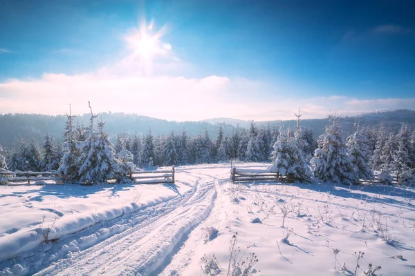 Karpacka Zimowa Dolina Pokryta Śniegiem Oświetlonym Światłem Słonecznym Europa Podróżuje — Zdjęcie stockowe