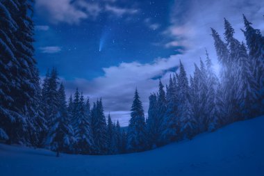 Kuyrukluyıldız Neowise Kış Ormanı üzerinde yıldızlı bir gecede.