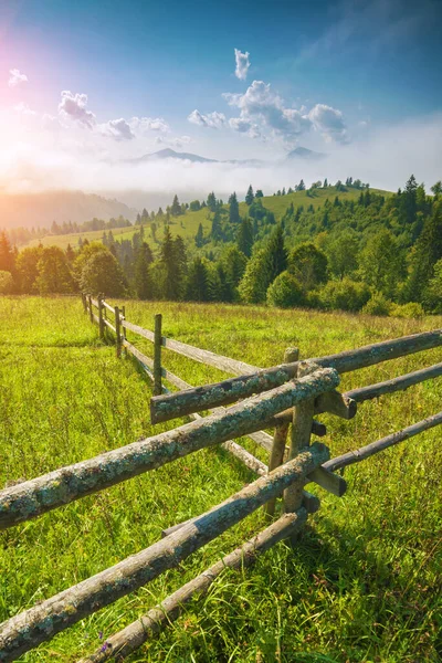 Paysage Idyllique Été Carpatique Avec Prairie Verte Montagnes Lointaines Dans — Photo