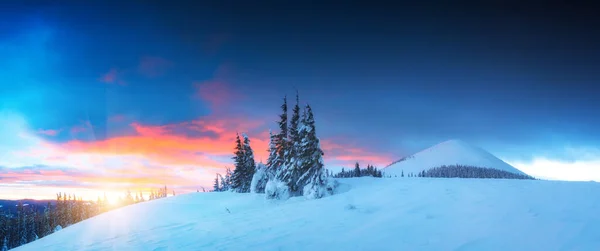 Panorama Del Amanecer Invernal Una Montaña Con Nubes Rojas Cielo —  Fotos de Stock