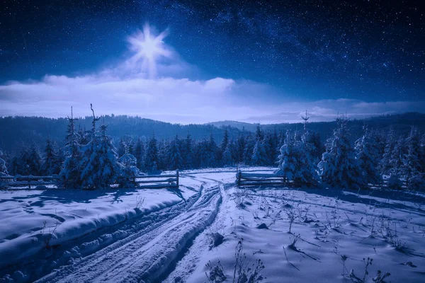 Cárpatos Inverno Montanha Vale Coberto Com Neve Iluminada Pelo Luar — Fotografia de Stock