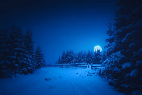 Pleine Lune Levant Dessus Forêt Hivernale Couverte Neige Fraîche Nuit — Photo