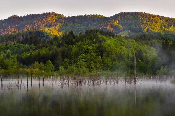 Strains Reflection Lake Cuejdel Piatra Neamt Romania — Stock Photo, Image