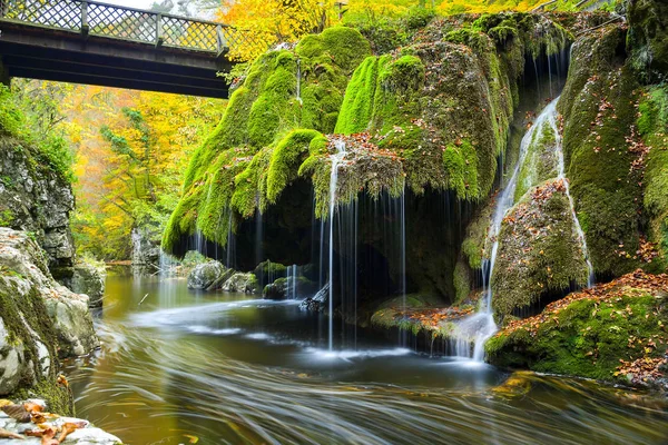Cascada del patio trasero con arces japoneses en otoño Panorama