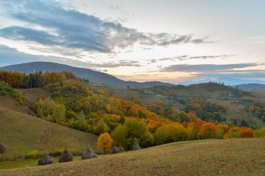 Dağların sonbahar manzarası renkli ormanlarla dolu.