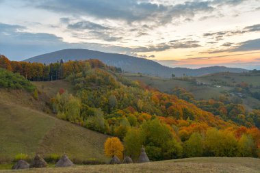 Dağların sonbahar manzarası renkli ormanlarla dolu.