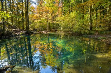 ormanda, Ochiul Beiului, güzel gölet Caras Severin İlçesi, Romanya