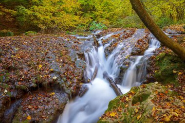 La vaioaga şelale, beusnita Milli Parkı, Romanya